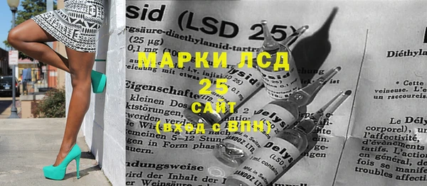 spice Аркадак