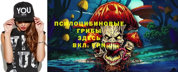 spice Аркадак