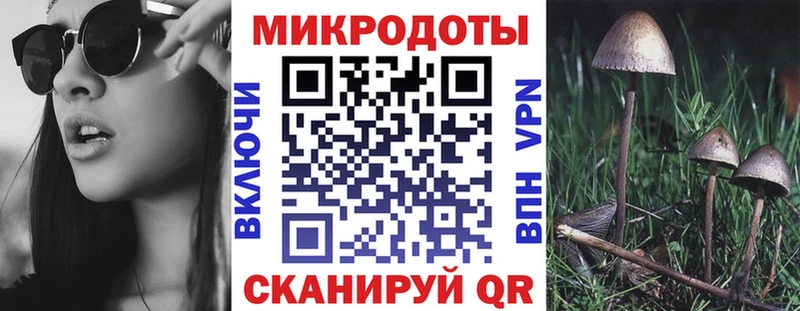 KRAKEN вход  Белово  Псилоцибиновые грибы Magic Shrooms 