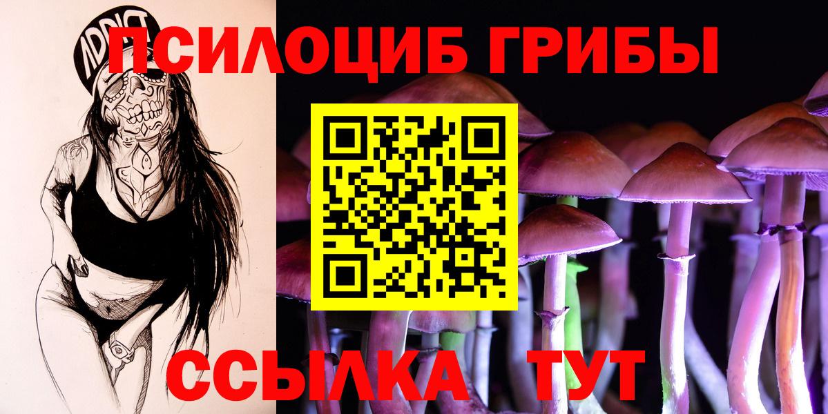 Белово  Галлюциногенные грибы Cubensis  Вход с VPN 